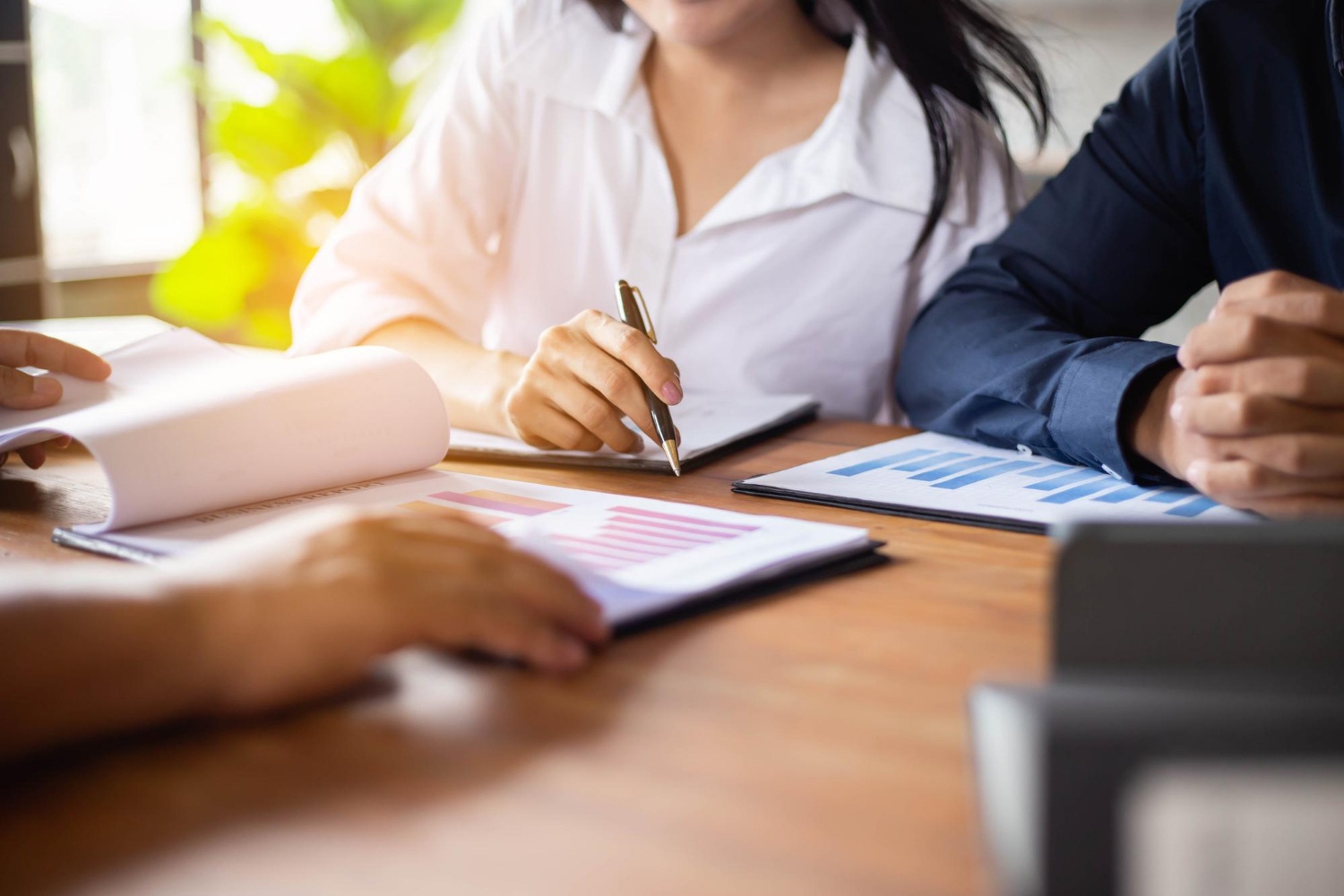 Tax Consultation